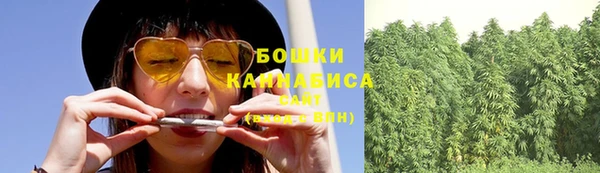 ПСИЛОЦИБИНОВЫЕ ГРИБЫ Белокуриха