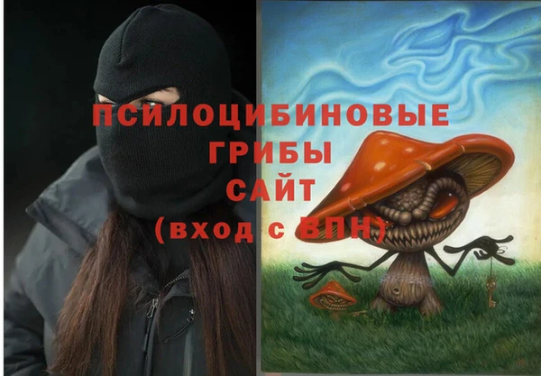 ПСИЛОЦИБИНОВЫЕ ГРИБЫ Белокуриха