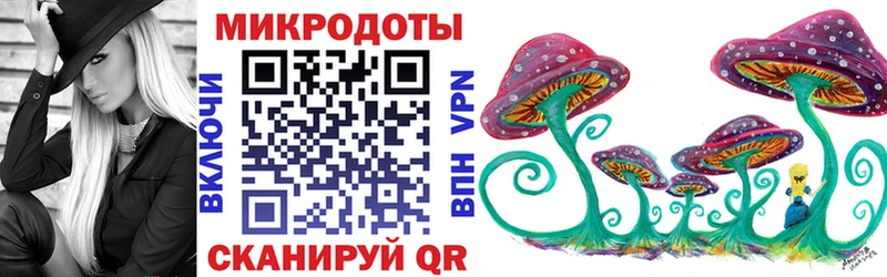 Псилоцибиновые грибы Psilocybe  Юрьевец 